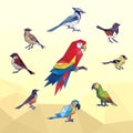 PARROT BIRD ANIMAL PET LOW POLY LINE LOGO ICON SYMBOL Royalty Free Stock Photo