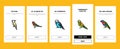 parrot bird blue animal tropical onboarding icons set vector