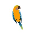 Parrot Bird, Cute Colorful Budgie Home Pet Vector Illustration