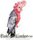 Parrot bird hand drawn watercolor illustration