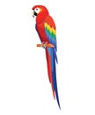 Parrot bird isolated on white background. Vector illustration. Royalty Free Stock Photo