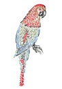 Parrot bird with ornament pattern Royalty Free Stock Photo