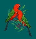 Parrot bird with tropical leaves rint summer exotic vector illustration Royalty Free Stock Photo