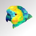 Parrot bird vector tropical colorful portrait beak