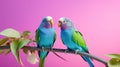 Parrot birds on wood tree branch colorful animal on vibrant background