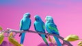 Parrot birds on wood tree branch colorful animal on vibrant background