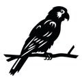 Parrot black icon on white background. Parrot silhouette Royalty Free Stock Photo