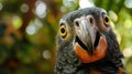 Parrot with bulging eyes