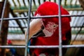 parrot in cage , image taken in Hamm Zoo, north germany, europe