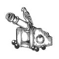 Parrot on cannon engraving vector illustration Royalty Free Stock Photo