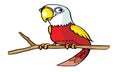 Parrot cartoon