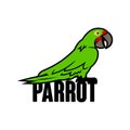 Parrot character. Cute macaw parrot tropical bird