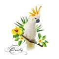 Parrot cockatoo on the tropical branches with leaves and flowers on white background.