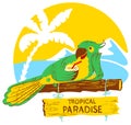 Parrot with cocktail on wooden designator to the tropical beach