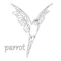 1148 parrot, drawing a parrot in black and white, vector illustration, isolate Royalty Free Stock Photo