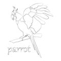 1151 parrot, drawing a parrot in black and white, vector illustration, isolate Royalty Free Stock Photo