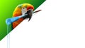 Parrot with a dripping paint brush in its beak