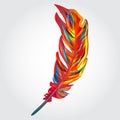 Parrot feather Royalty Free Stock Photo