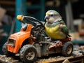 Parrot on forklift mimics warehouse worker