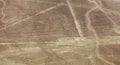 Parrot geoglyph, Nazca or Nasca mysterious lines, Peru