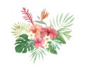 Bird of Paradise Watercolor Floral Flowers Leaves Plumeria Tropical Hibiscus