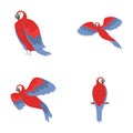 Parrot icons set cartoon vector. Beautiful colorful parrot macaw Royalty Free Stock Photo