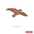 Parrot kea color flat icon for web and mobile design