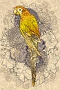 Parrot line art with yellow colored on floral design element Royalty Free Stock Photo