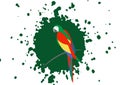 Parrot logo idea design, beautiful scarlet macaw bird in natural color, vector illustration isolated on green splash background Royalty Free Stock Photo