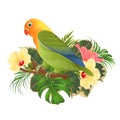 Parrot lovebird Agapornis tropical bird standing on a branch and hibiscus on a white background vintage vector illustration edita