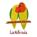 Parrot Lovebird in cartoon style on white background. Agapornis parakeet.