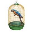 Parrot in a retro cage. macaw in bird cage Royalty Free Stock Photo