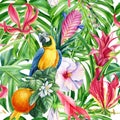 Parrot macaw, birds and flowers, watercolor illustration. Tropical seamless pattern. Floral background, digital paper Royalty Free Stock Photo