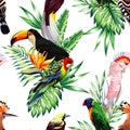 Parrot maccaw and toucan on branch