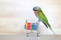 Parrot on model miniature shopping cart and shopping bag on wooder background Royalty Free Stock Photo