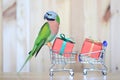 Parrot on model miniature shopping cart and colorful gift box for christmas and happy new year on wooder background