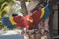 Parrot model on a tree trunk on the beach of Tulum Mexico