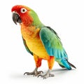 Colorful Parrot On White Background In Red And Teal Style