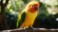 Parrot perched on branch with vocal training AI features and interactive responses for enhanced communication Royalty Free Stock Photo