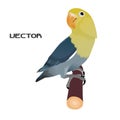 Parrot Bird vector design