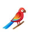 Parrot at Pet Shop Sitting Vector Illustration