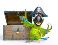 Parrot pirate is talking in front of a treasure chest Royalty Free Stock Photo