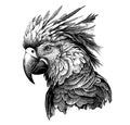 Parrot portrait hand drawn sketch Vector illustration Exotic birds Royalty Free Stock Photo