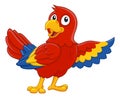 Parrot Red Macaw Bird Cartoon Wildlife Mascot