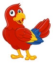 Parrot Red Macaw Bird Cartoon Wildlife Mascot