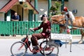 A parrot riding a horse in a parade