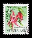 Parrot's Beak (Clianthus puniceus), Pictorial Definitives serie, circa 1967