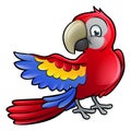 Parrot Safari Animals Cartoon Character