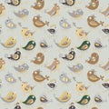 Parrot seamless colorful pattern