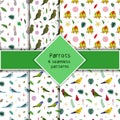 Parrot seamless pattern collection in cartoon style. Parrots cockatiel, kea, pionus and budgies, tropical leaves and